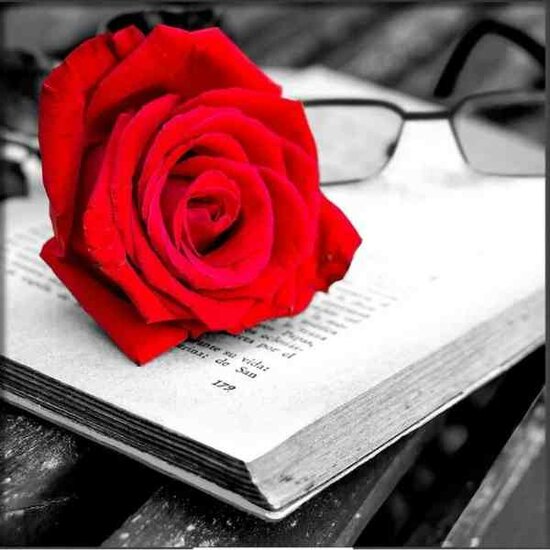 Diamond painting kit &quot;Rose and Book&quot; 25x25 cm vierkante steentjes