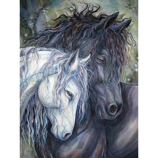 Diamond Painting 2 Paarden 30 x 40 cm vierkante steentjes