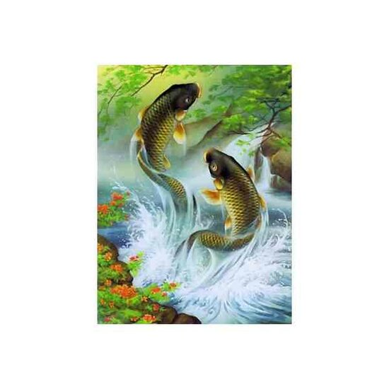 Diamond Painting Koi Carps  vierkante steentjes 30x40