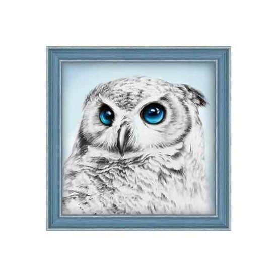 Diamond Painting Owl Sight 25x25 cm