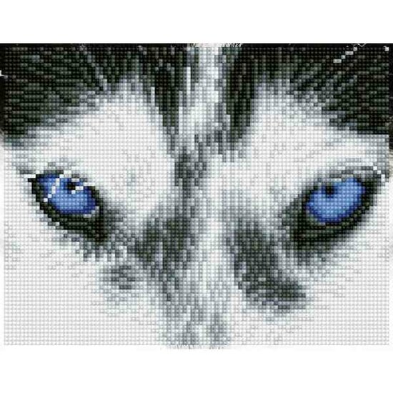 Diamond Painting DQ7.004 DIAMOND DOTZ&reg; SQUARES - 20.3x26cm - Mystic Husky
