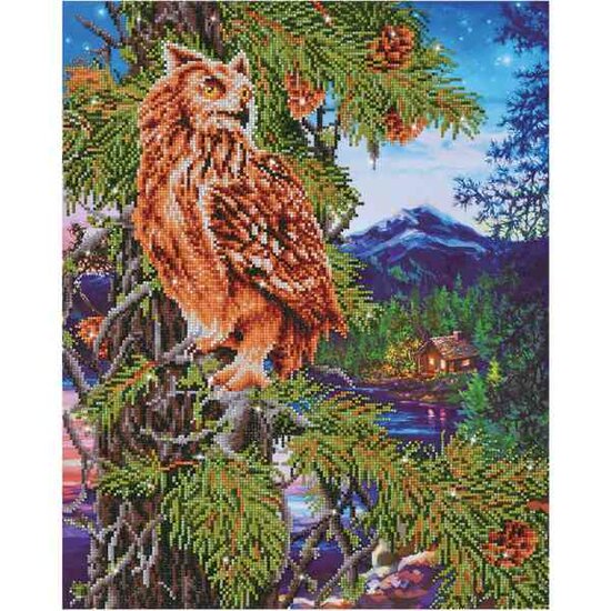Diamond Painting DD12.025 DIAMOND DOTZ&reg; - 47x59cm - Twlight Wisdom