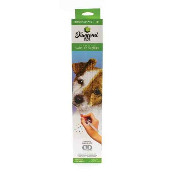 Diamond Painting DIAMOND ART - 30.48x30.48cm - Kits Puppy  Leisure Arts