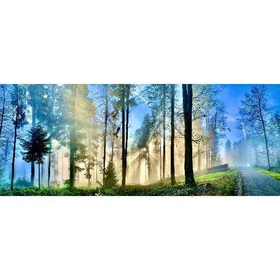 Diamond Painting Bosweg- 100 x 40 cm