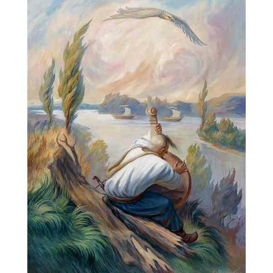 Diamond Painting Freedom 40  x 50 cm