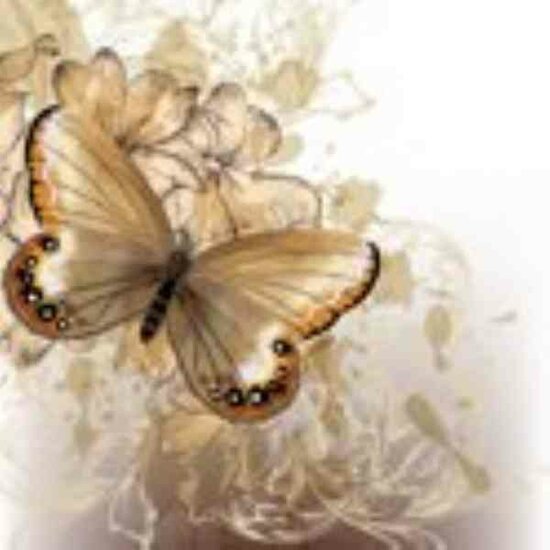 Diamond Painting Aquarel Beige vlinder - 40 x 40 cm