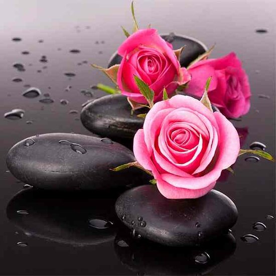 Diamond Painting Rozen  30 x30  Ronde Steentjes