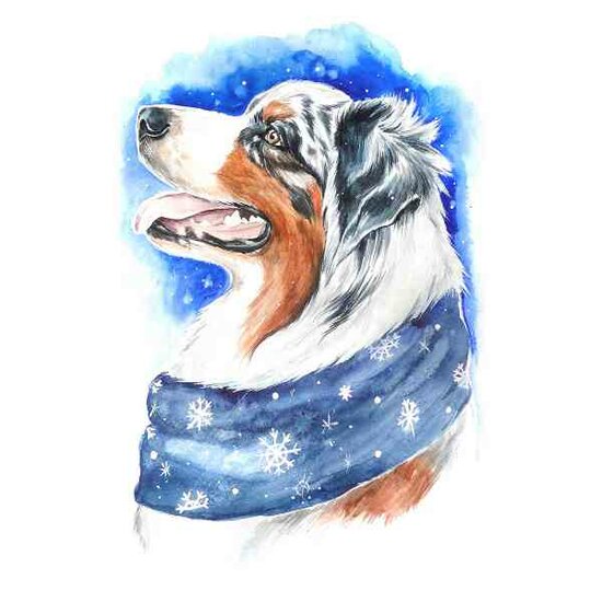 Diamond Painting Winter Dog  20 x 30 Ronde Steentjes op kader