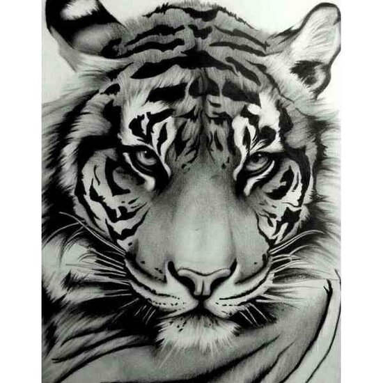 Diamond Painting Wise Look   50 x40  cm  ronde steentjes met kader