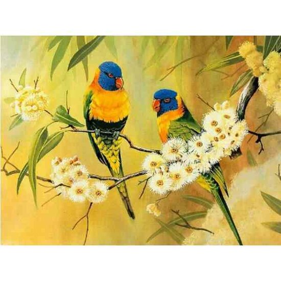 2 vogels 50 x 50 vierkante  steentjes