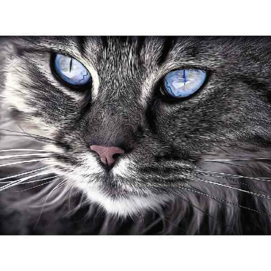 Diamond Painting ,Kat . 80 x 55xcm, 80 kleuren Vierkante  Steentjes
