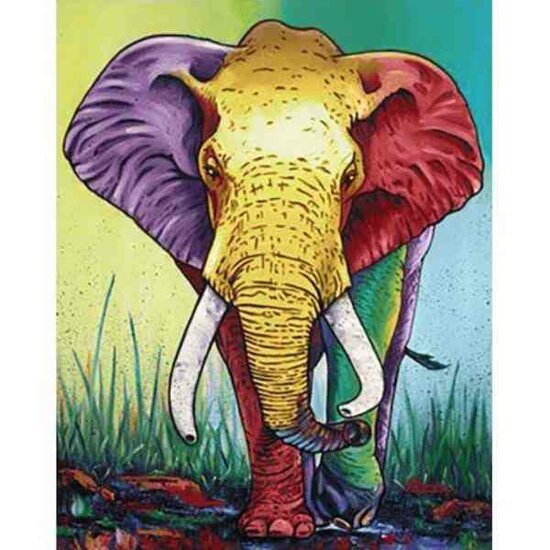 Diamond painting -Colours of the Desert  38x48 vierkante steentjes