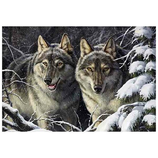 Diamond Painting Rascals  / Wolven  70 x 48 cm vierkante steentjes