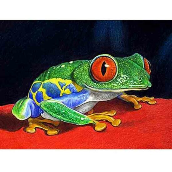 Diamond  Painting  Kikker &ndash; Frog - 40 x 30 cm vierkante steentjes