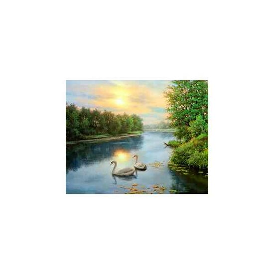Diamond Painting Swans at dawn  50x40 Vierkante steentjes