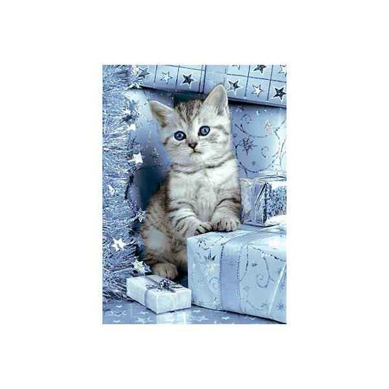 Kitten and Christmas Presents 27*38 cm