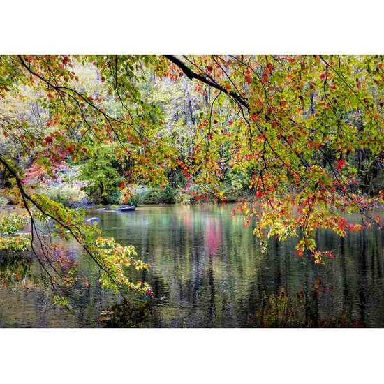 Branches On the Edge of the River   Puzzel 1000 stukjes