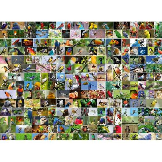 Collage - World&#039;s most Beautiful Birds  -  Puzzel 4000 stukjes