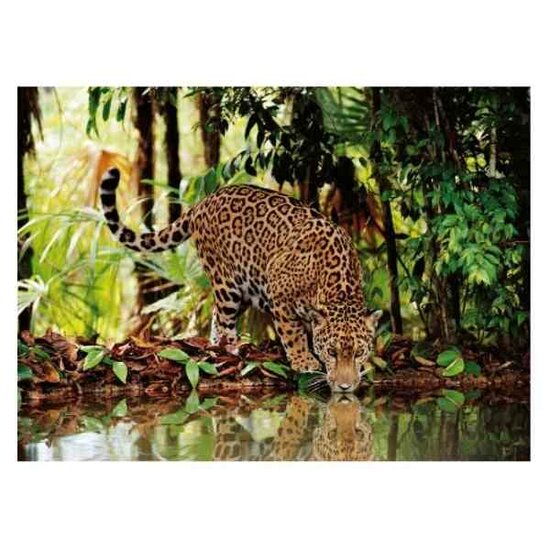 The Leopard - Puzzel 2000 stukjes