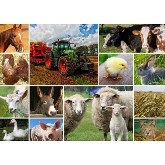 Farmyard Animals -  Puzzle 1,500 pieces