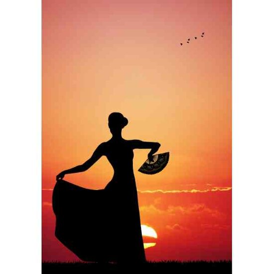 Flamenco at Sunset 3900 stukjes