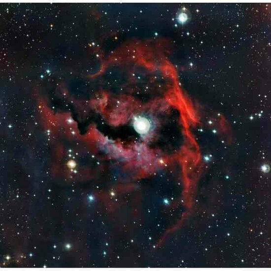 The Head of the Seagull Nebula  - 1000 Stukjes