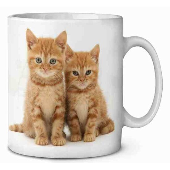 Rosse Kittens Koffie-thee mok