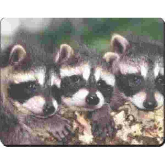 3 Baby Dassen Muismat