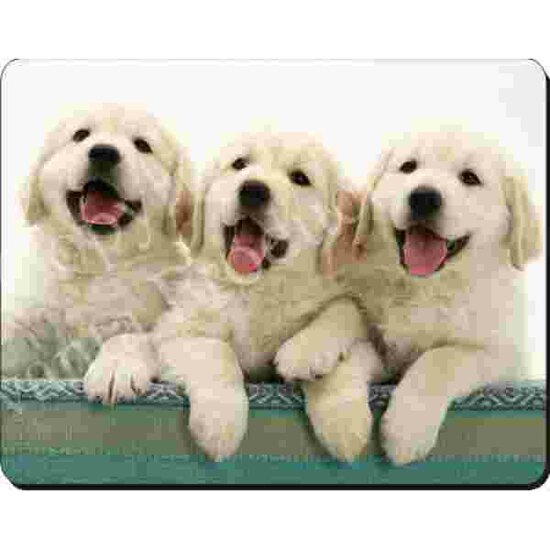 3 Golden Retriever Pups Muismat