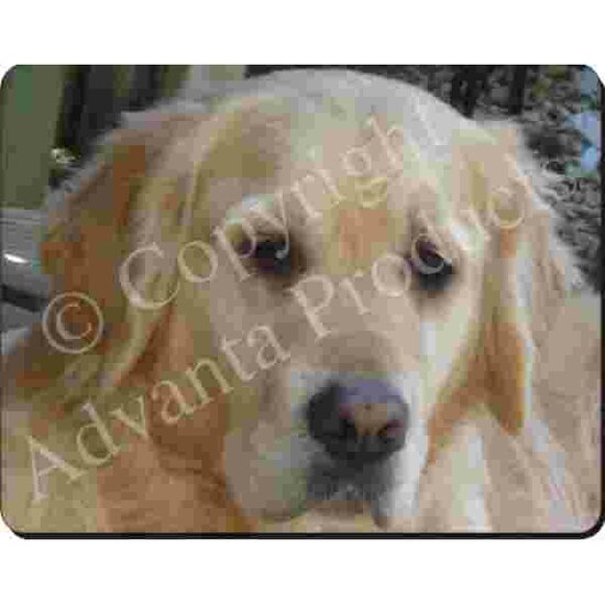 Golden Retriever close up Muismat