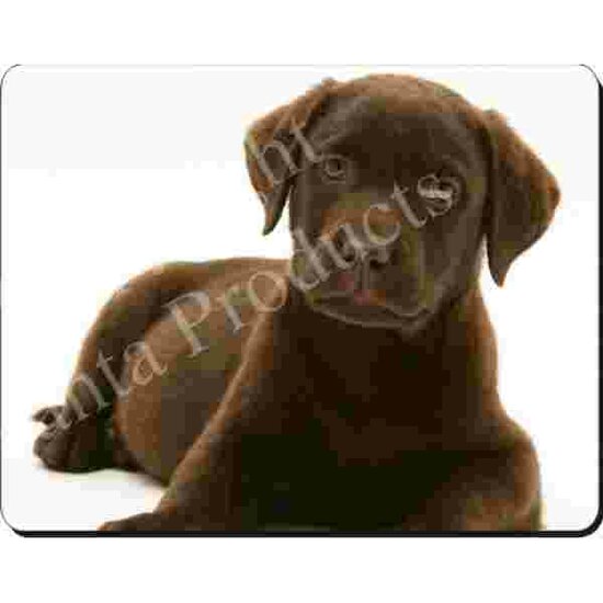 Chesapeake Pup  Retriever Muismat