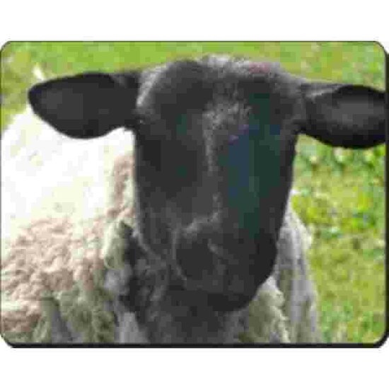 Schaap Zwart Hoofd Muismat