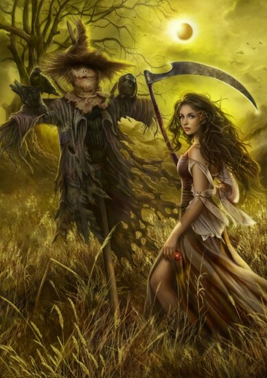 Field of the Scarecrow Puzzel 1000 Stukes