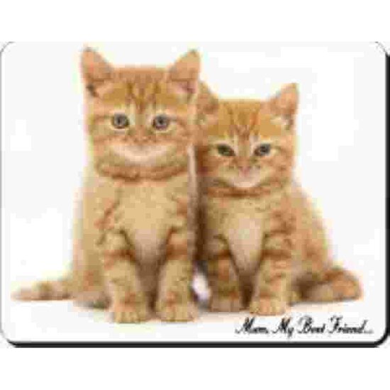 MOTHERS DAY KITTENS-Mum My Best Friend Mouse Mat