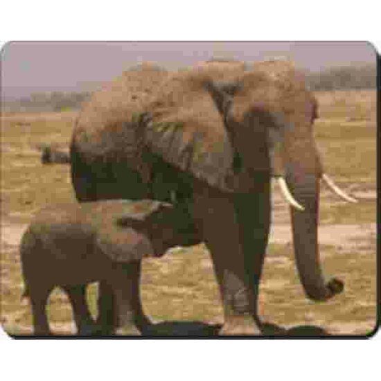 Muismat Olifant Advanta