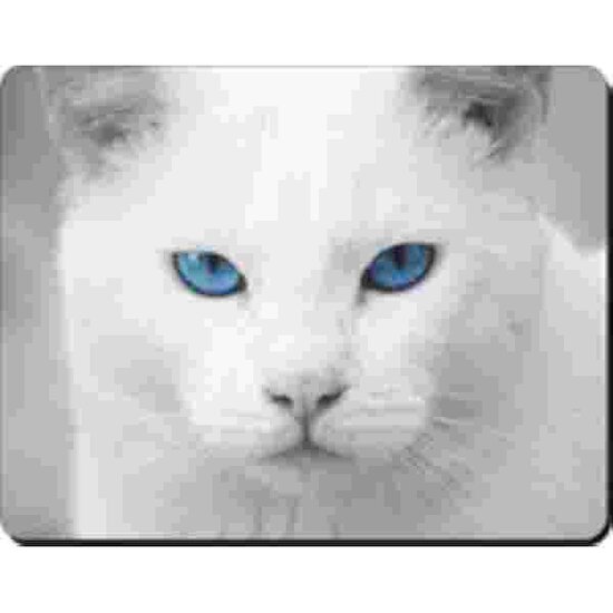 Muismat Witte kat blauwe ogen Advanta