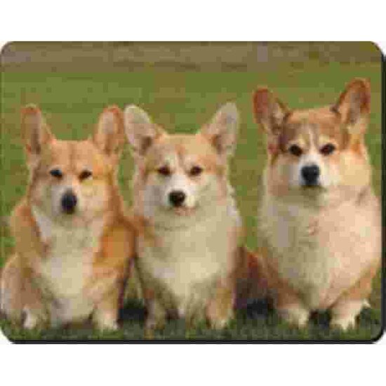 3 Corgis Muismat
