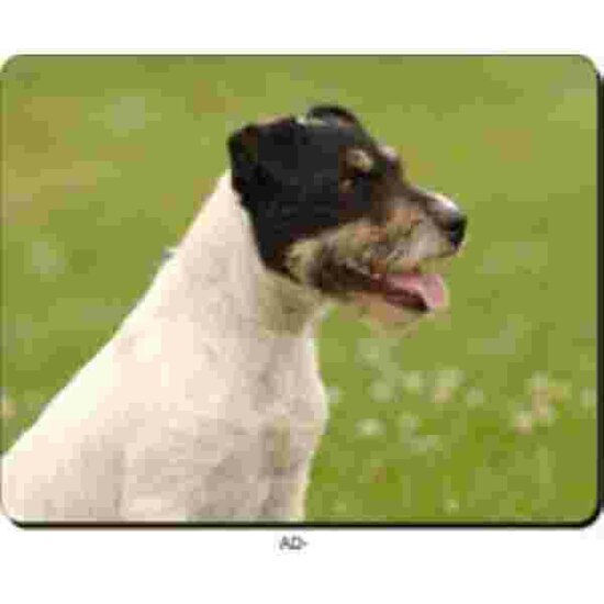 Muismat Jack Russel groene Achtergrond Advanta