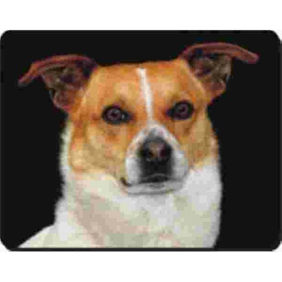 Muismat Jack Russel kijkt Vooruit Advanta