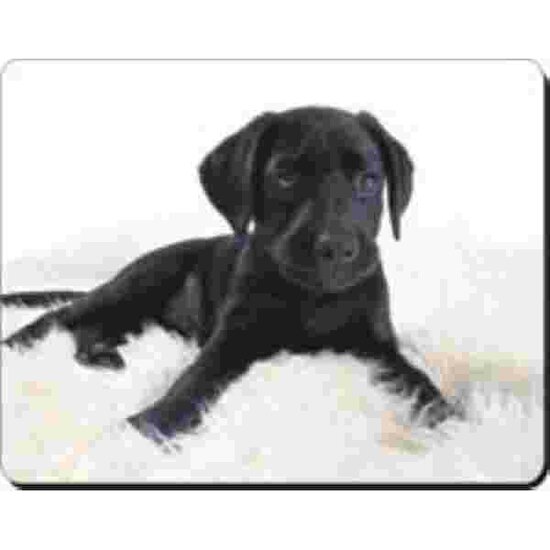 Muismat Pup Labrador Zwart advanta
