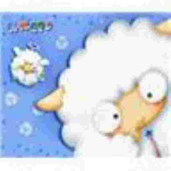 Sheepo Muismat