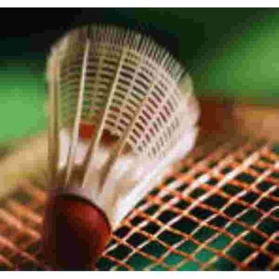 Badminton Muismat