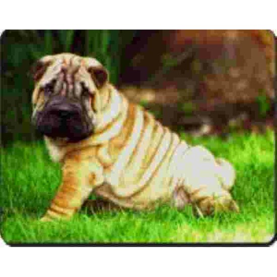 Shar Pei Muismat