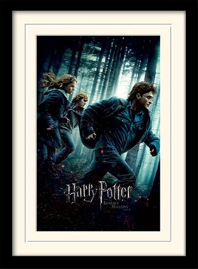 HARRY POTTER - Mounted &amp; Framed 30X40 Print - Deathly Hallows Part 1