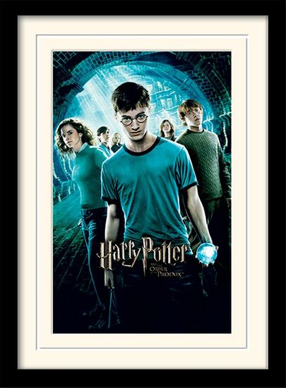 HARRY POTTER - Mounted &amp; Framed 30X40 Print - Order of The Phoenix