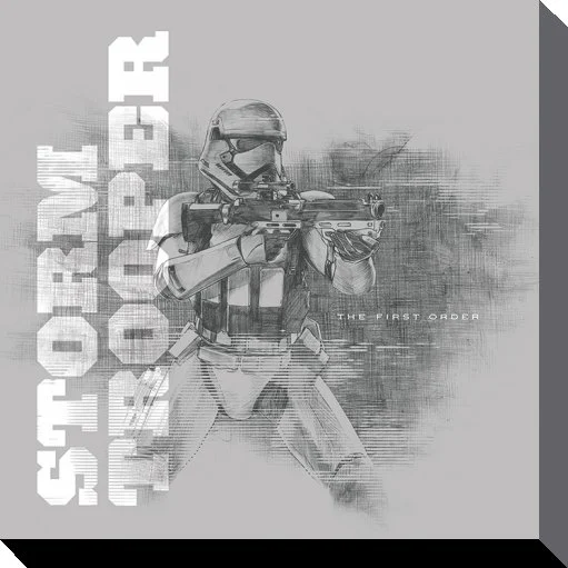 STAR WARS - Canvas 40X40 &#039;38mm&#039; - Episode VII - Snowtrooper Grey