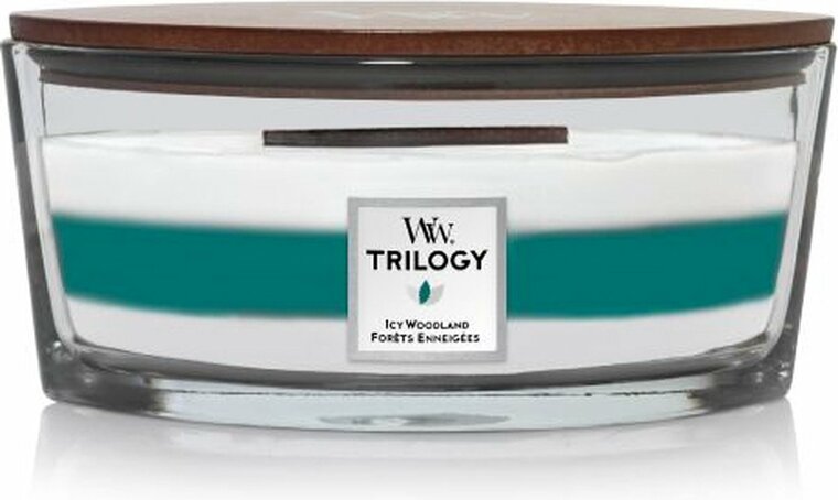 WoodWick Trilogy Icy Woodland Ellipse Candle