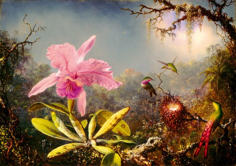 Martin Johnson Heade - Cattleya Orchid and Three Hummingbirds, 1871  puzzel 1000 stukjes