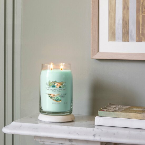 Yankee Candle Aloe &amp; Agave Signature Large Jar