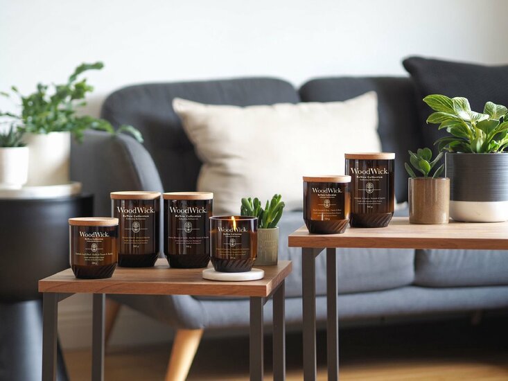 WoodWick ReNew Tomato Leaf &amp; Basil Medium Candle